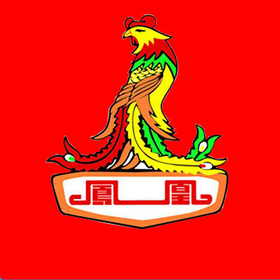 上海凤凰自行车直销