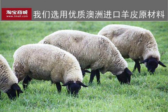 澳诚皮毛直销店