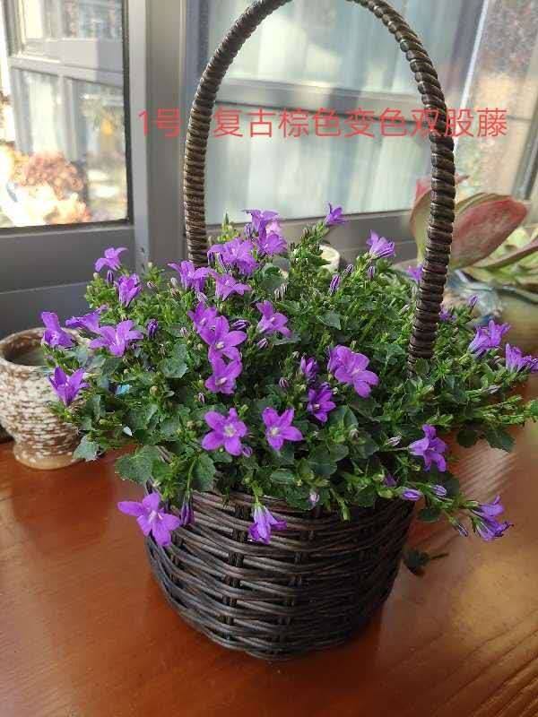 华锦藤艺