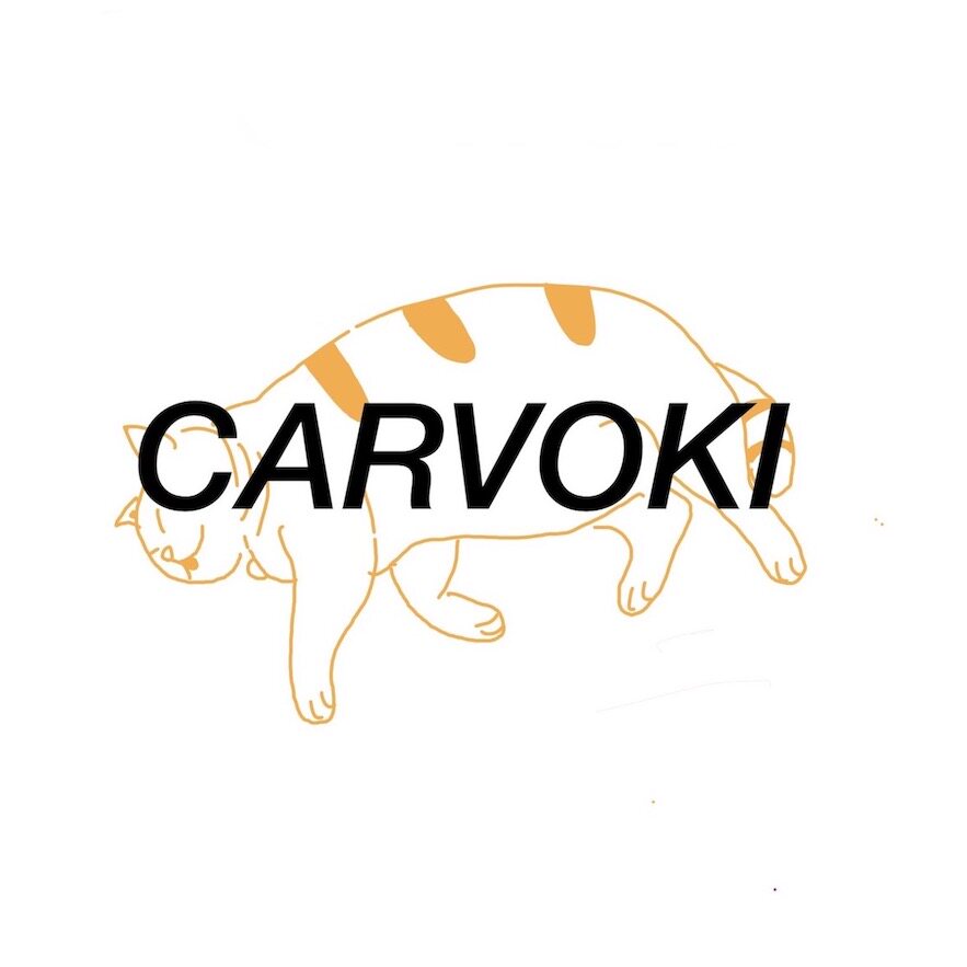 CV定制服务的LOGO