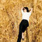 Yi Chi Sunshine Manufacturer Women's Clothing
