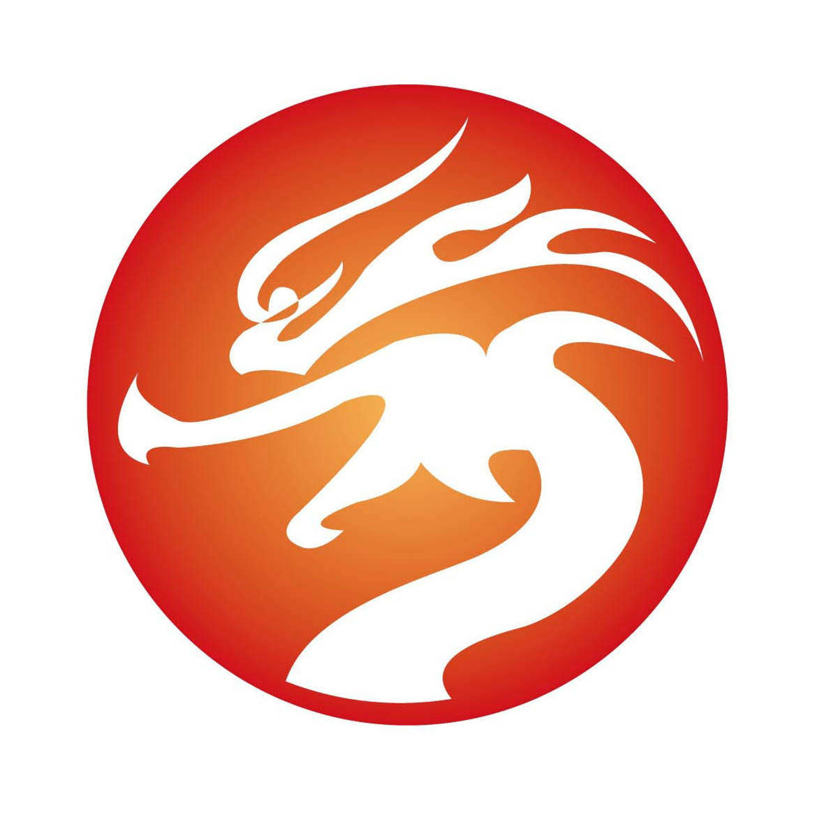 龙琴行