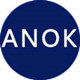 ANOK安百龙姿态矫正器