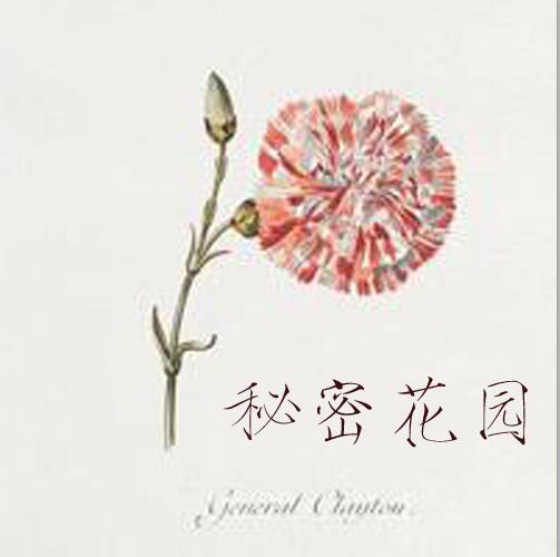 secretgarden秘密花园