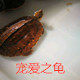 嫩草小店的LOGO