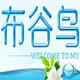 布谷鸟亲子装