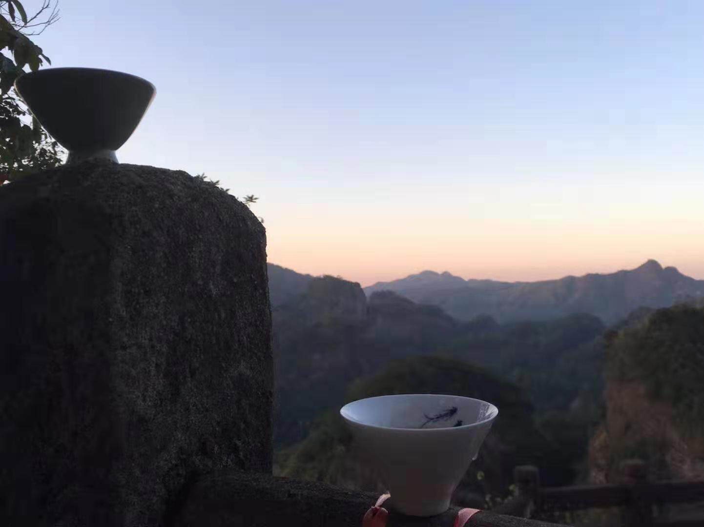 洛笙实力供应茶厂