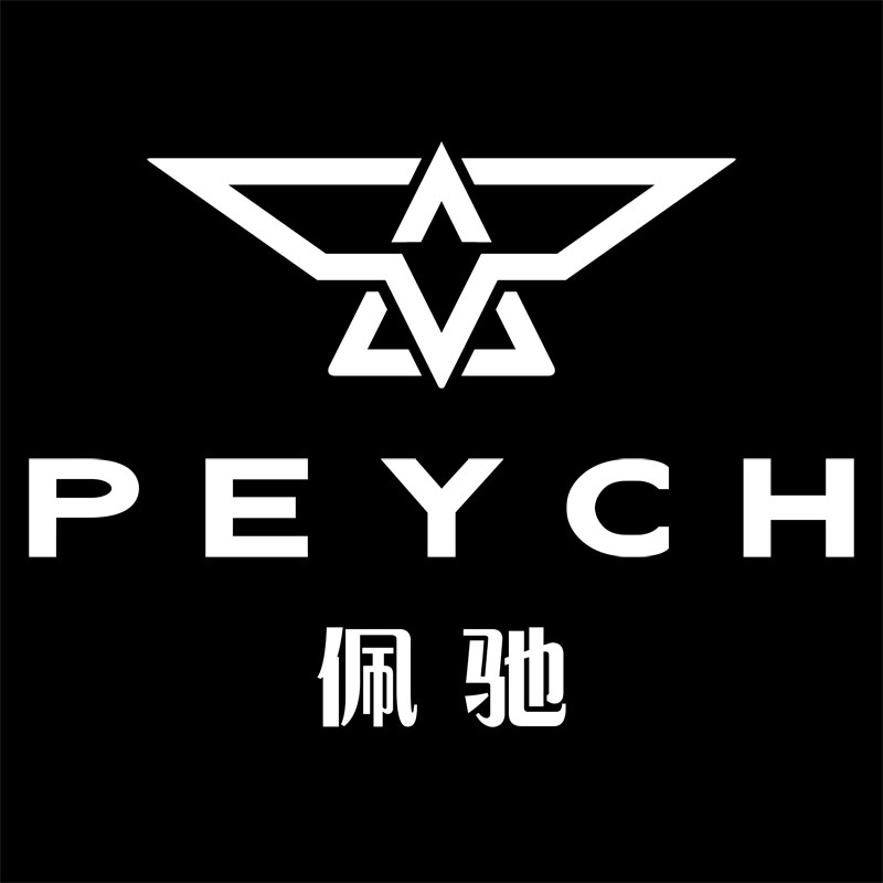 Paysh沛士的LOGO
