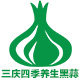 三庆四季养生黑蒜