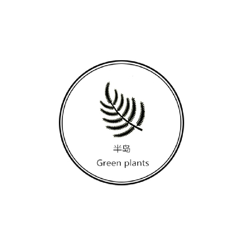 半岛绿植Green plant
