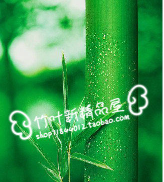 艺竹麻将凉席店