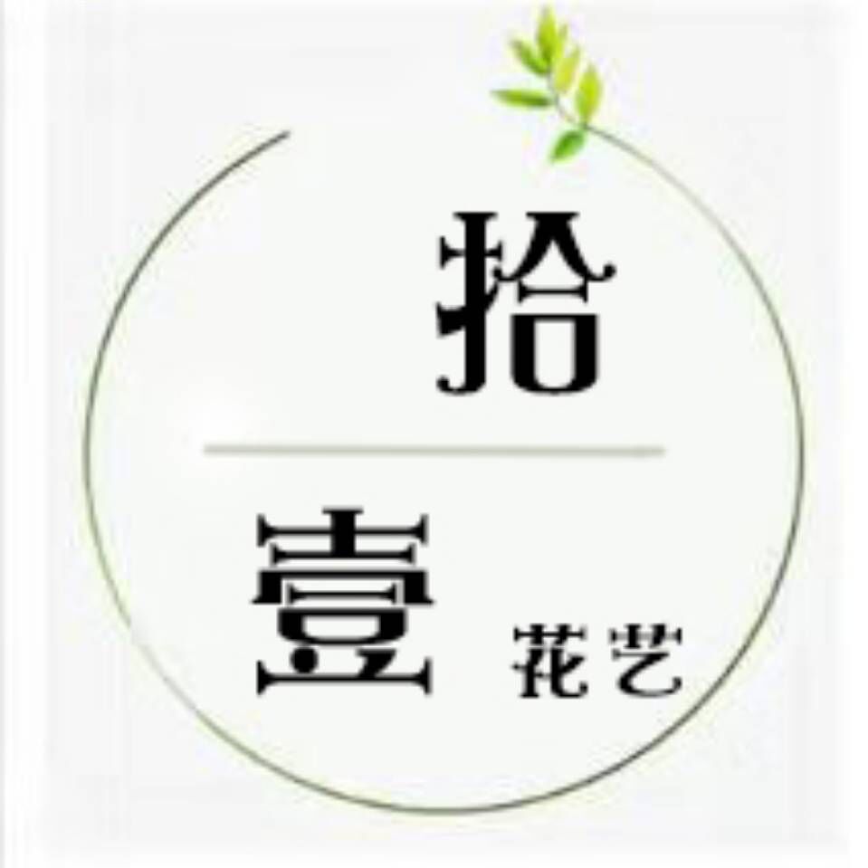拾壹绿植森林
