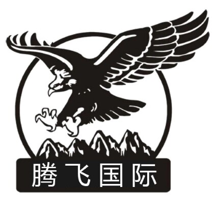 腾飞国际企业店的LOGO