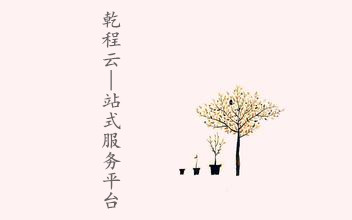 成都公司注册财税服务
