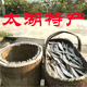 徽庆湖