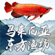 钻鳞渔业