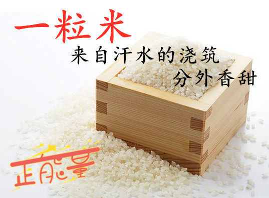 一粒米节庆用品