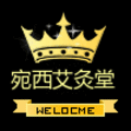 宛西艾灸堂