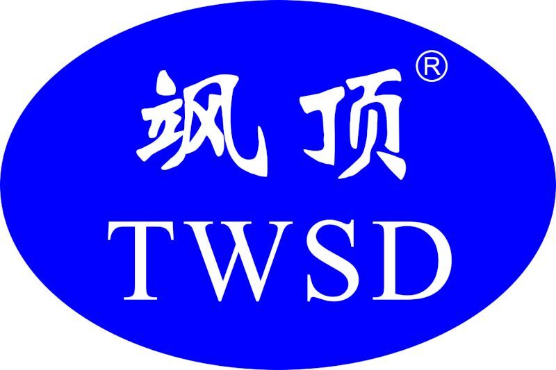 上海飒顶实业有限公司的LOGO