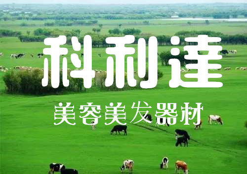 科利达美容美发器材的LOGO