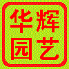 广州华辉三角梅园艺