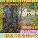 广东民族风培训学校