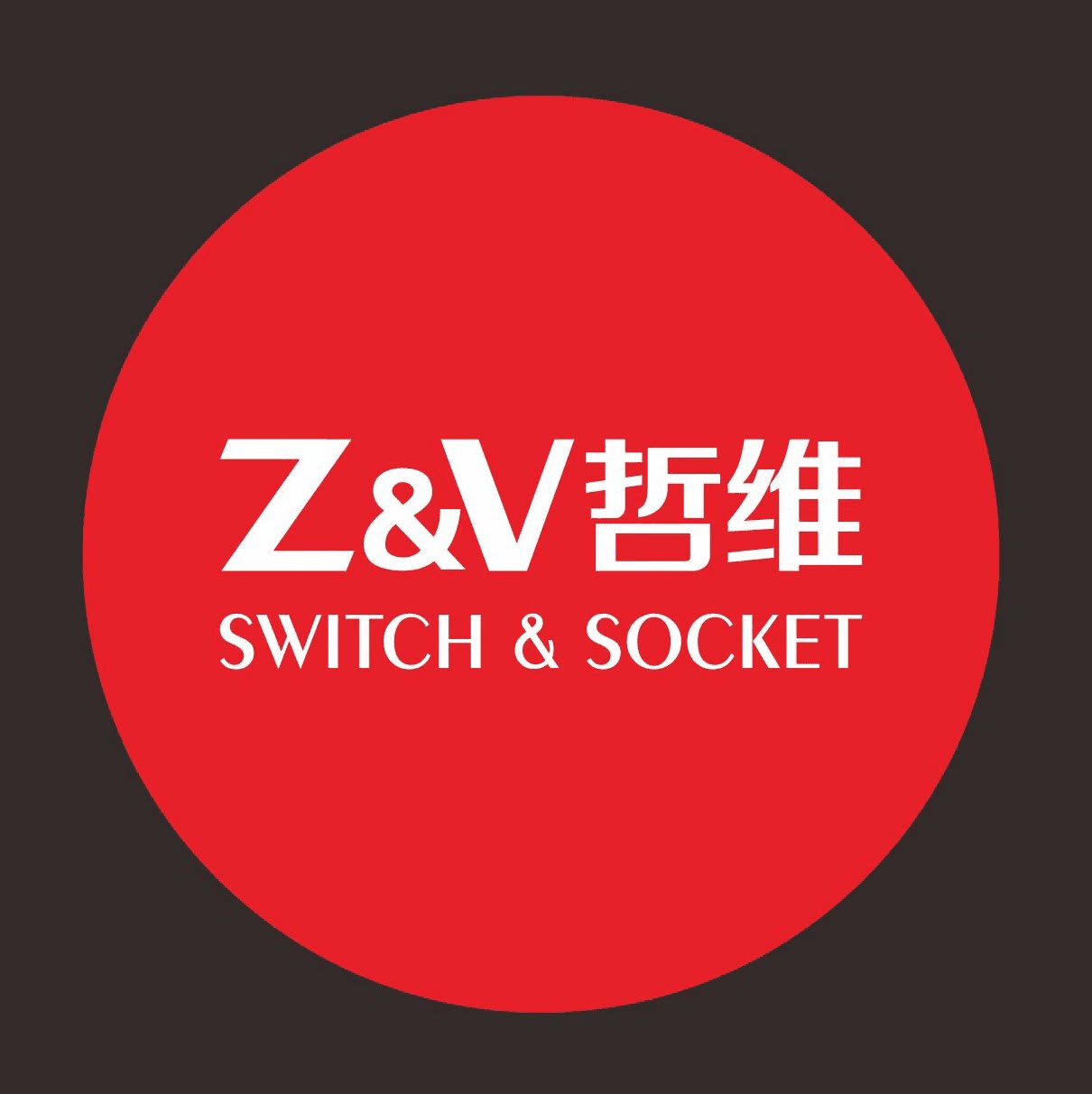 哲维光电的LOGO