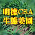 明德CSA生态姜园 明安农业 七不姜的LOGO
