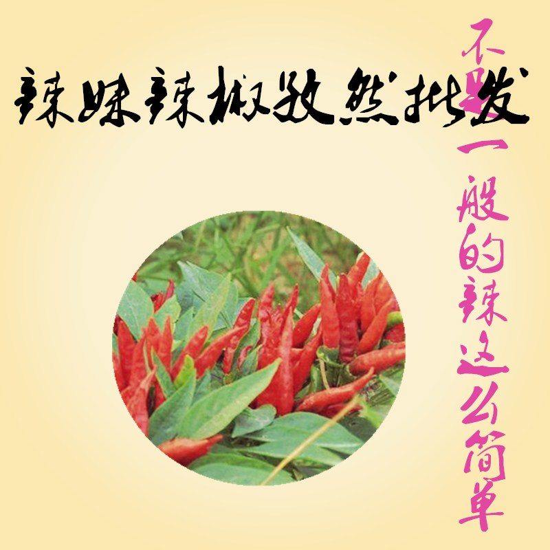 辣妹辣椒孜然批发的LOGO