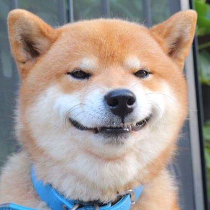 艺坊定制