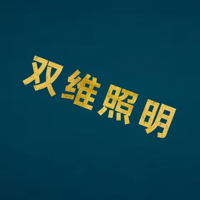 双维照明