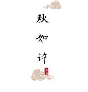 秋如许手工定制包包