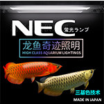 潮派鱼友水族用品