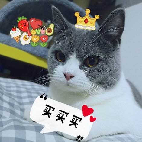 奶酪喵的美妆铺