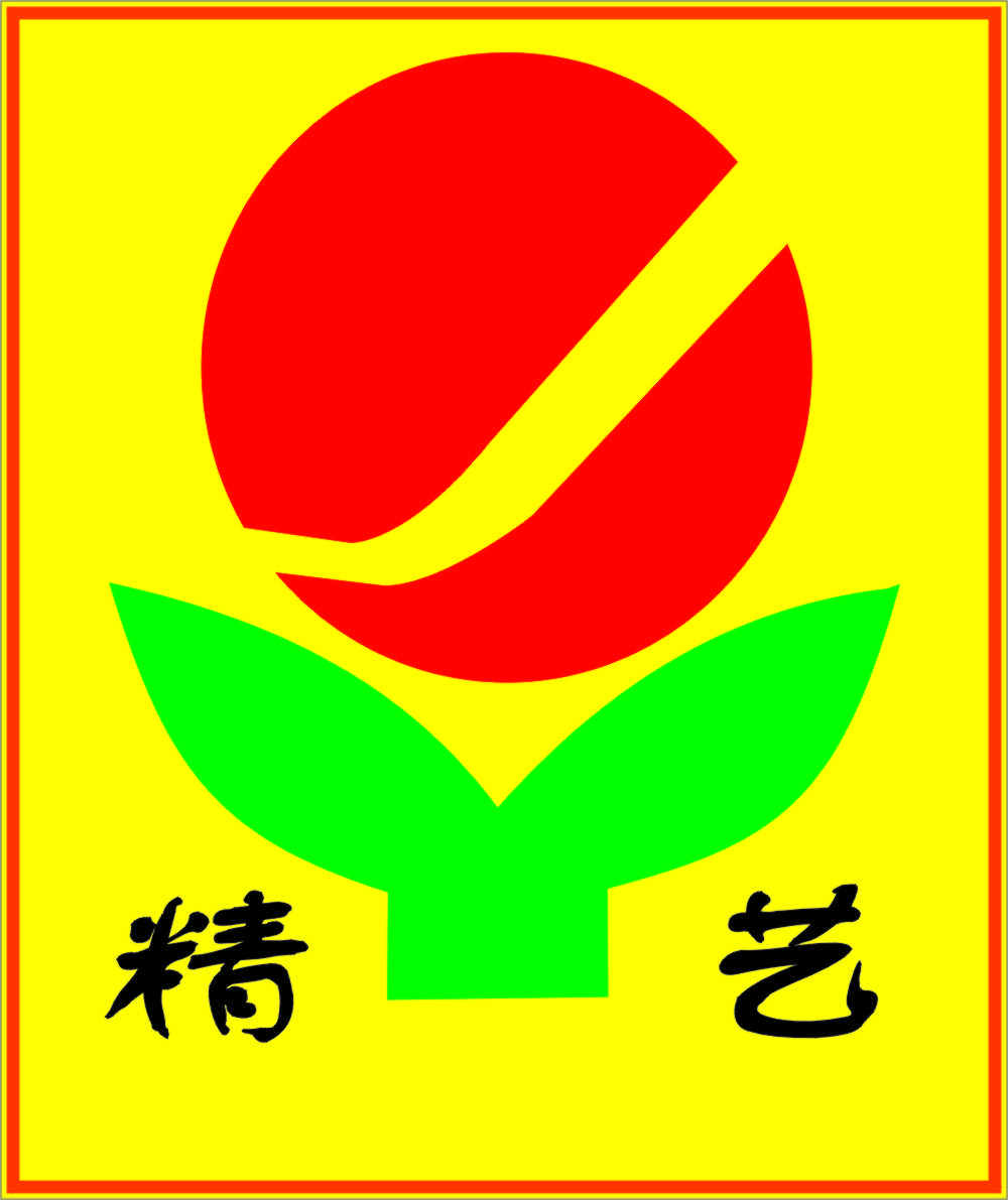 桐城市精艺包装的LOGO