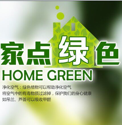 织金花好月圆花卉盆栽店