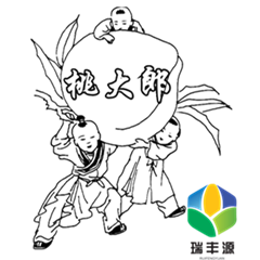 平谷大桃 桃大郎