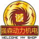 战隆通机直销店的LOGO