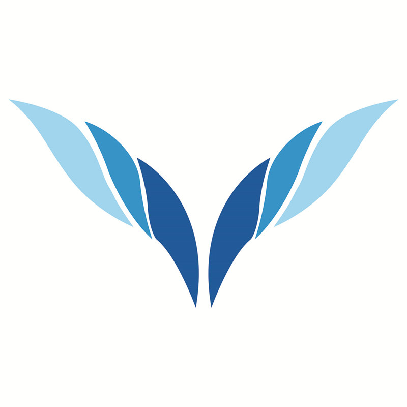 添翼汽车用品店的LOGO
