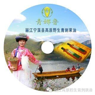 女儿国臻品青刺果油店的LOGO
