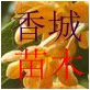 香城苗木基地的LOGO