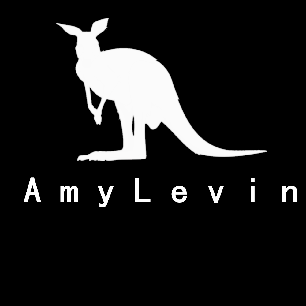 AmyLevin袋鼠精品店