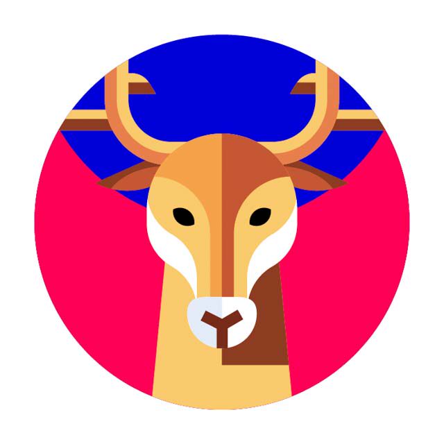 Deer Team官方店铺