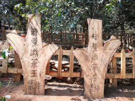 老曼峨茶农