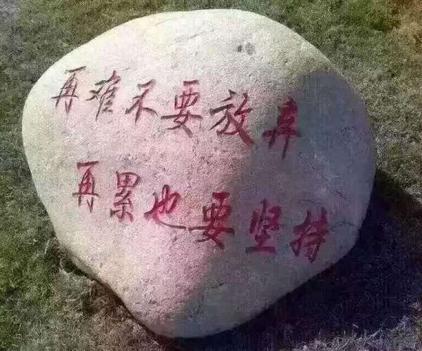 林子淘淘巷