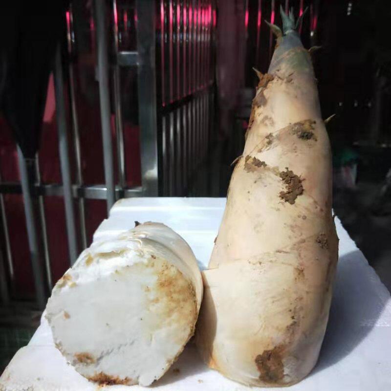 绿色小镇人家