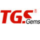 TGS Gems的LOGO