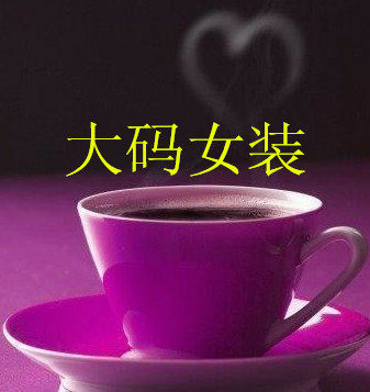 韩衣大码女装
