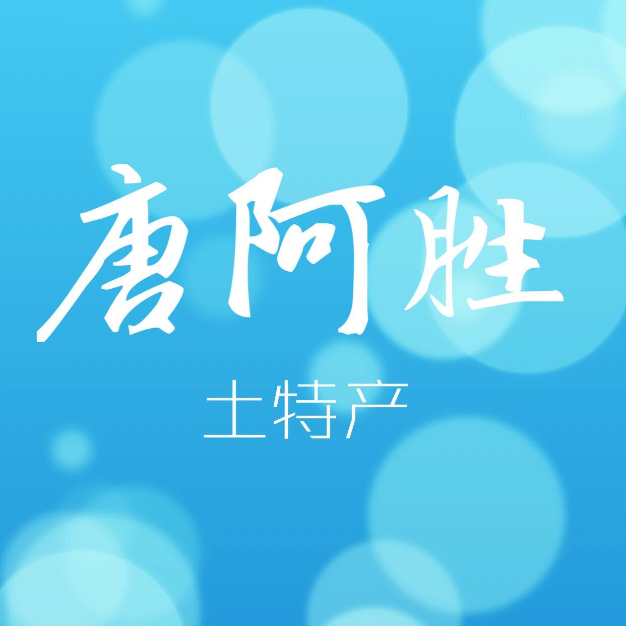 唐阿胜土特产店