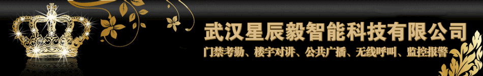 武汉星辰毅智能科技
